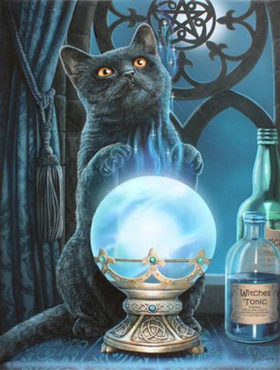 Witches Apprentice Black Cat Canvas Art Print by Lisa Parker